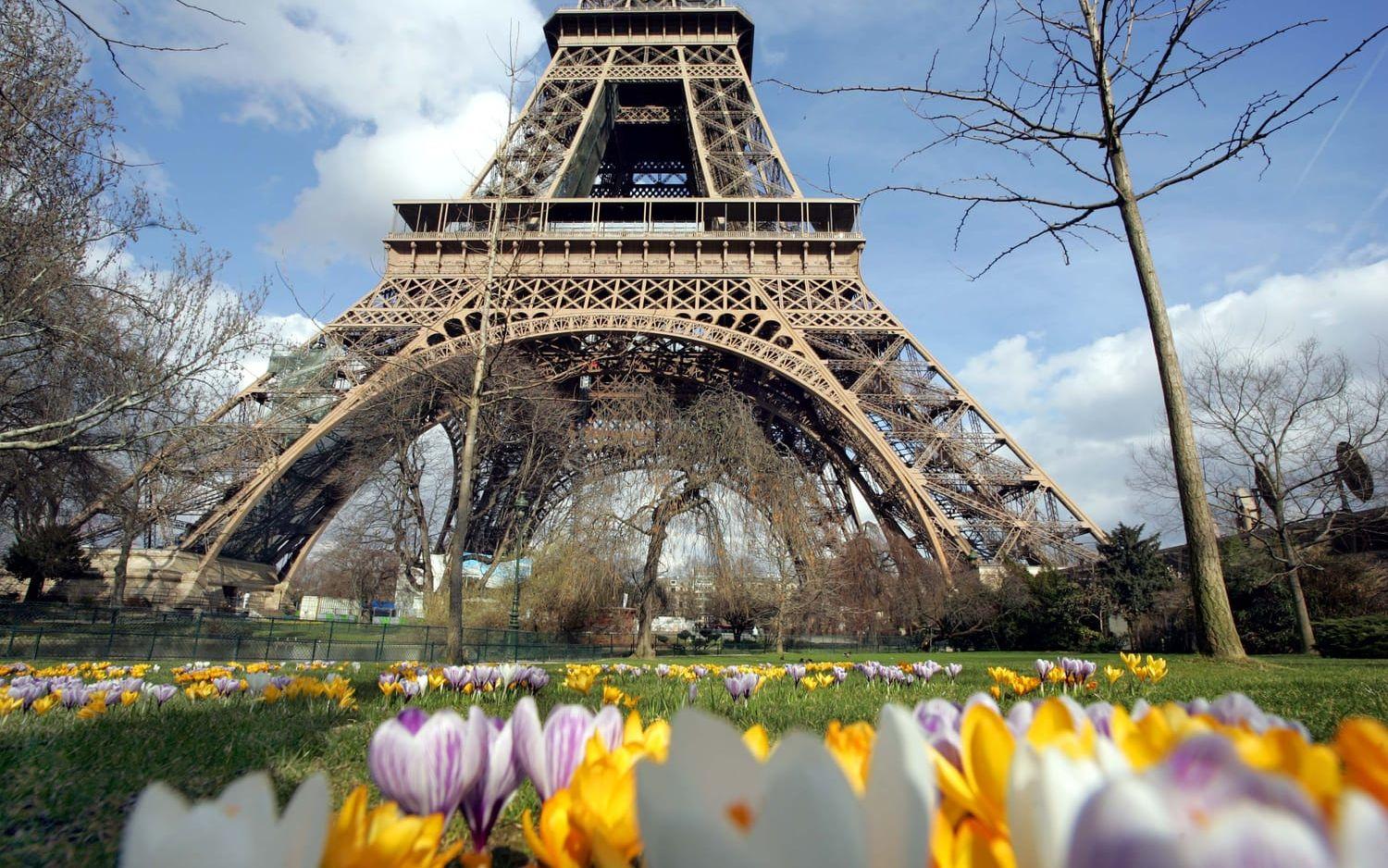 Vilka kan tala franska som en infödd efter 20 år i Paris? Det hänger bland annat på språköra och personlighet. Arkivbild.