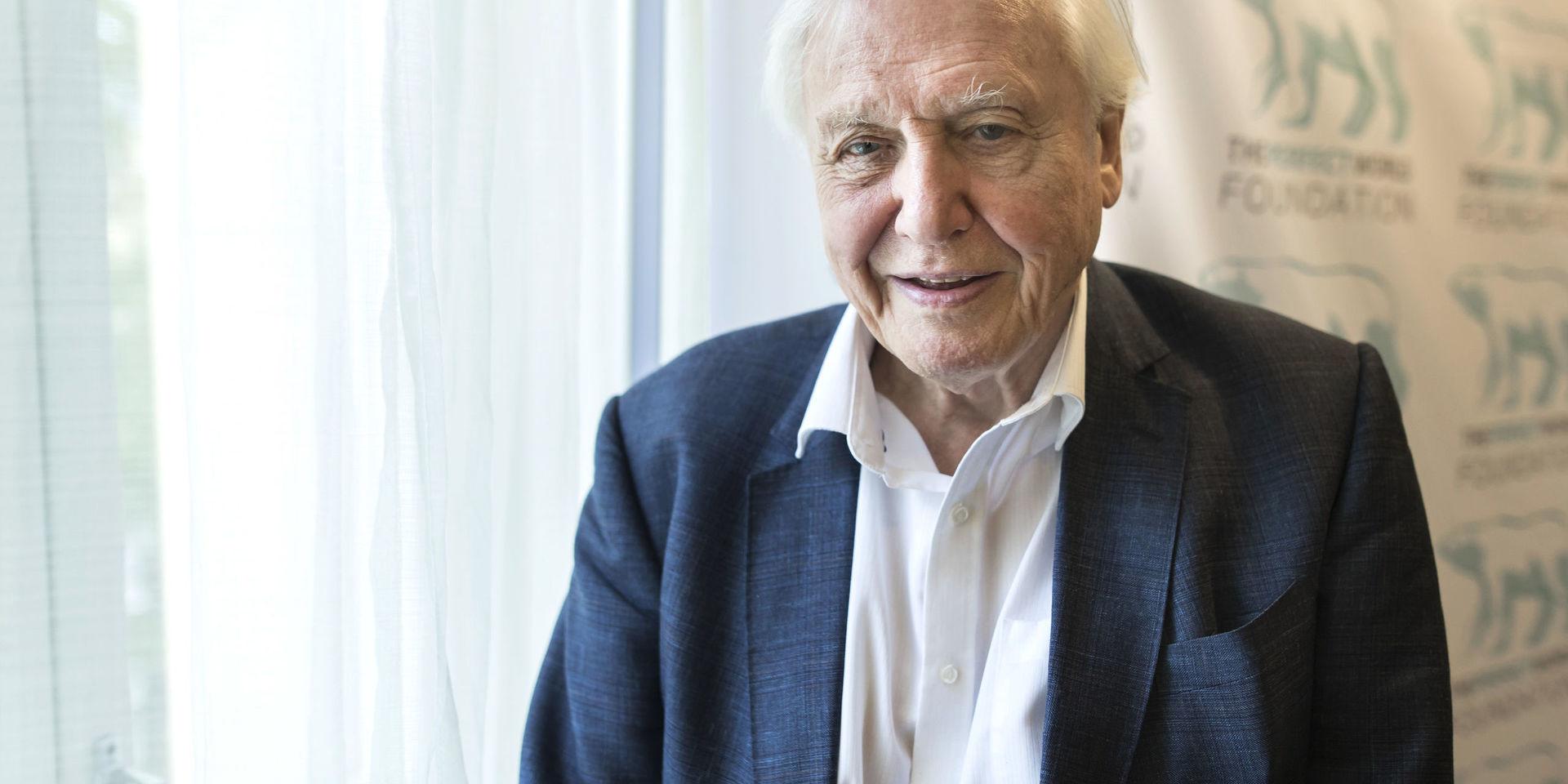 På besök i Göteborg. Sir David Attenborough var i Göteborg i början av september för att ta emot hederspris under The perfect world foundations årliga gala för natur- och djurliv.