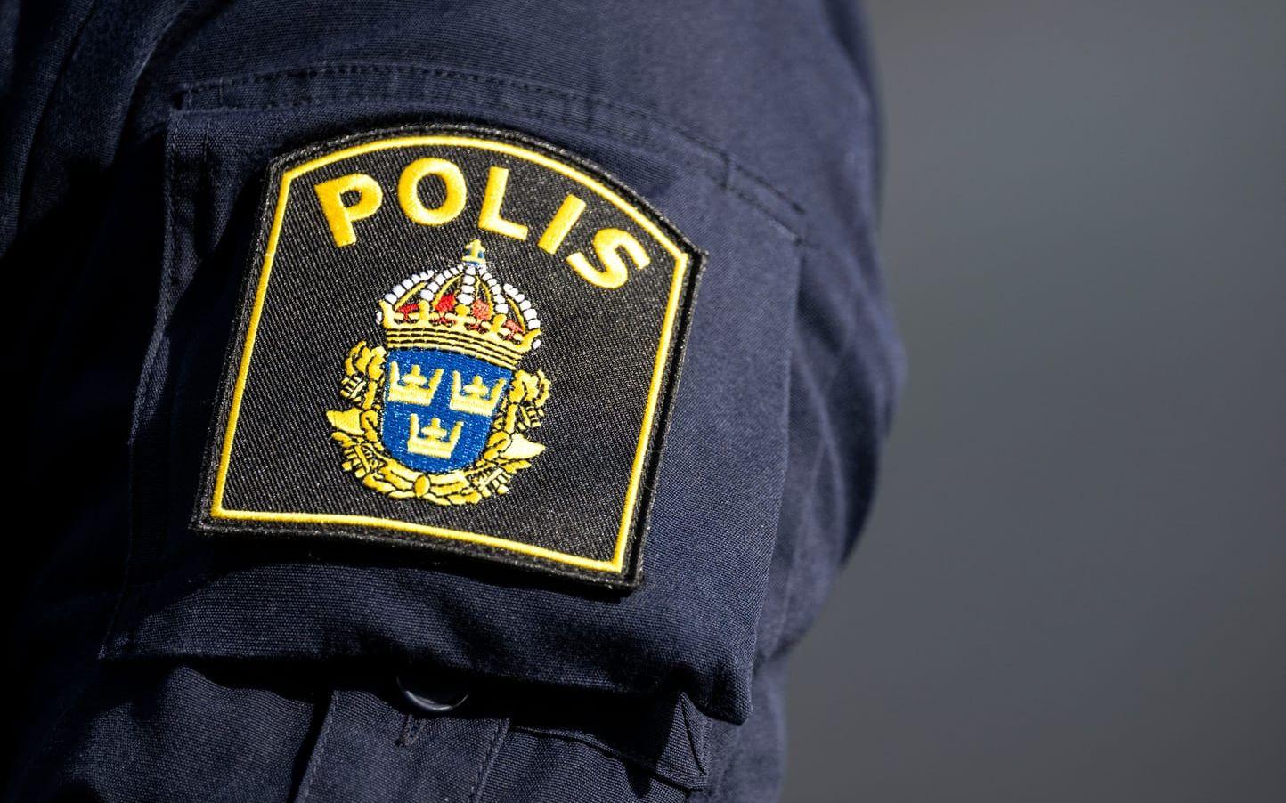 Polisen klassar nu vissa grupperingar av risksupportrar som kriminella nätverk. Arkivbild.