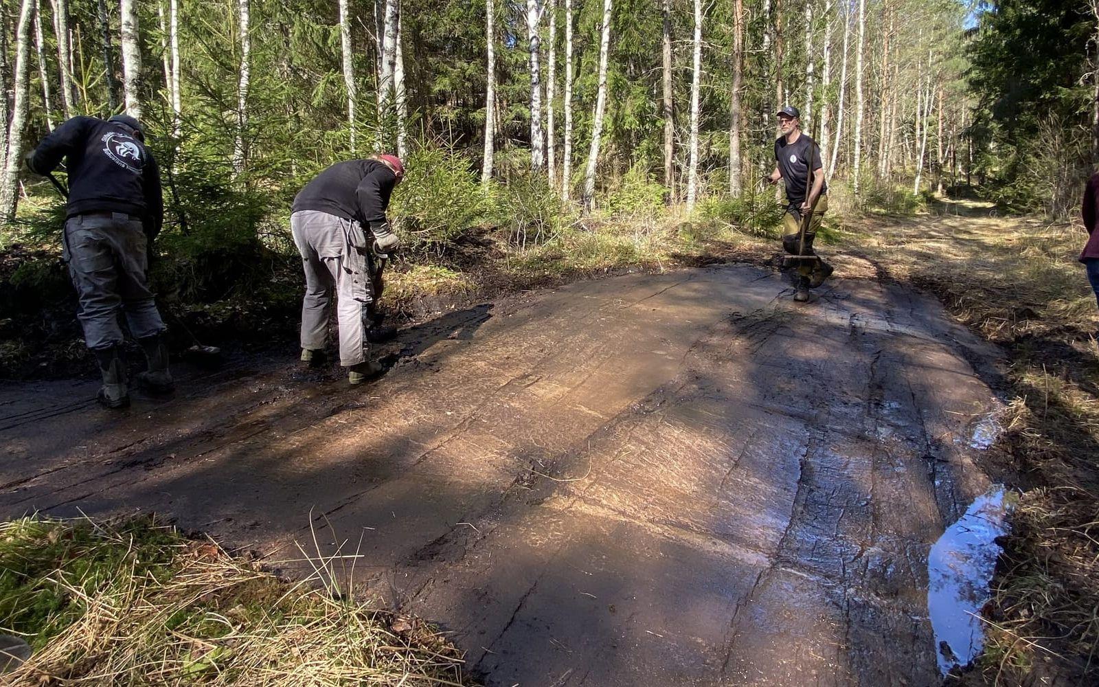 En större hällristning har återfunnits i Litsleby söder om Tanum – efter att ha varit dold och bortglömd i 200 år.