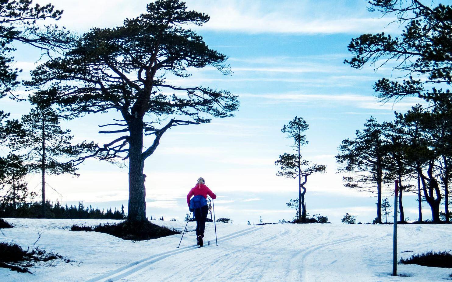 Danska skidturister väljer gärna Sverige. Arkivbild.