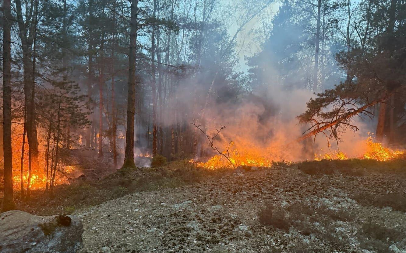 19 hektar skog brinner i Delsjöområdet – räddningstjänsten avvaktar med aktiv släckning på grund av farlig terräng — image 3