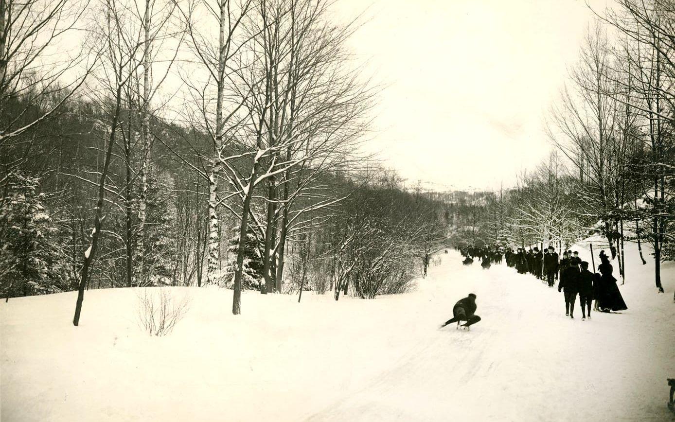 Kälkåkning i Slottsskogen i början av 1900-talet.
