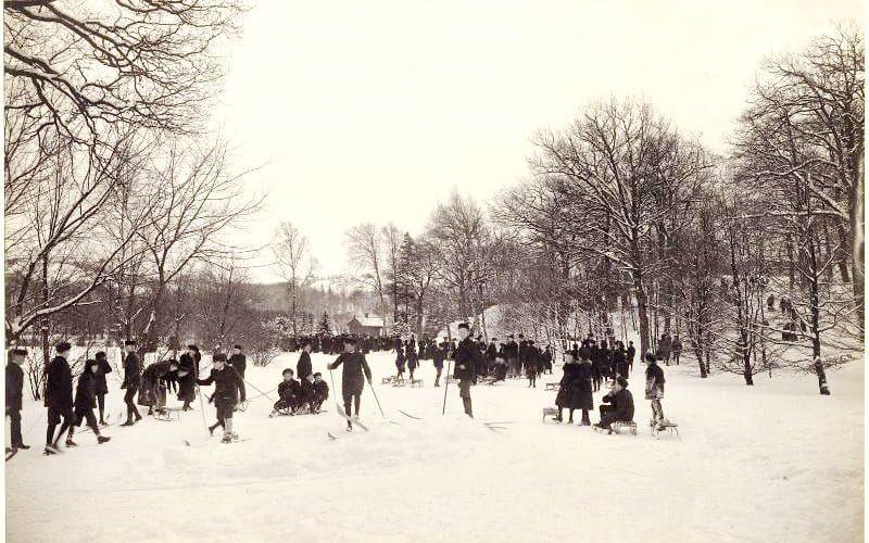 En vinterbild från Slottsskogen, där pojkar och flickor samlats för kälk- och skidåkning. Tagen på 1910-talet.