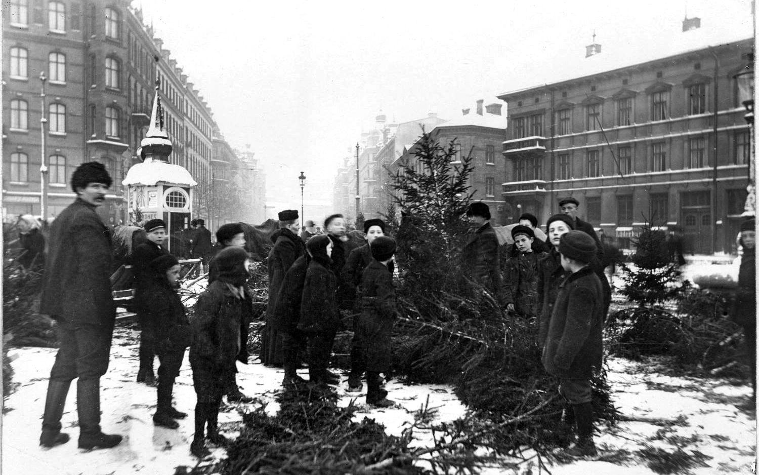 1909 kunde man köpa julgranar på Järntorget.