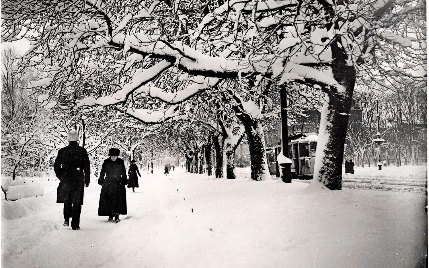 Den är bilden är tagen runt 1905. När bilden togs var det ordentligt snöigt i Nya Allén. Träden är snötyngda och vägarna är fulla av snö. 