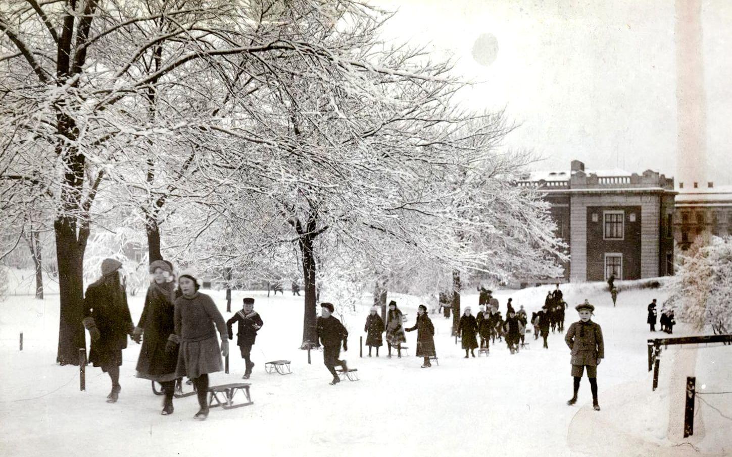 Barn i alla åldrar ville njuta av snön i Vasaparken i december 1913.