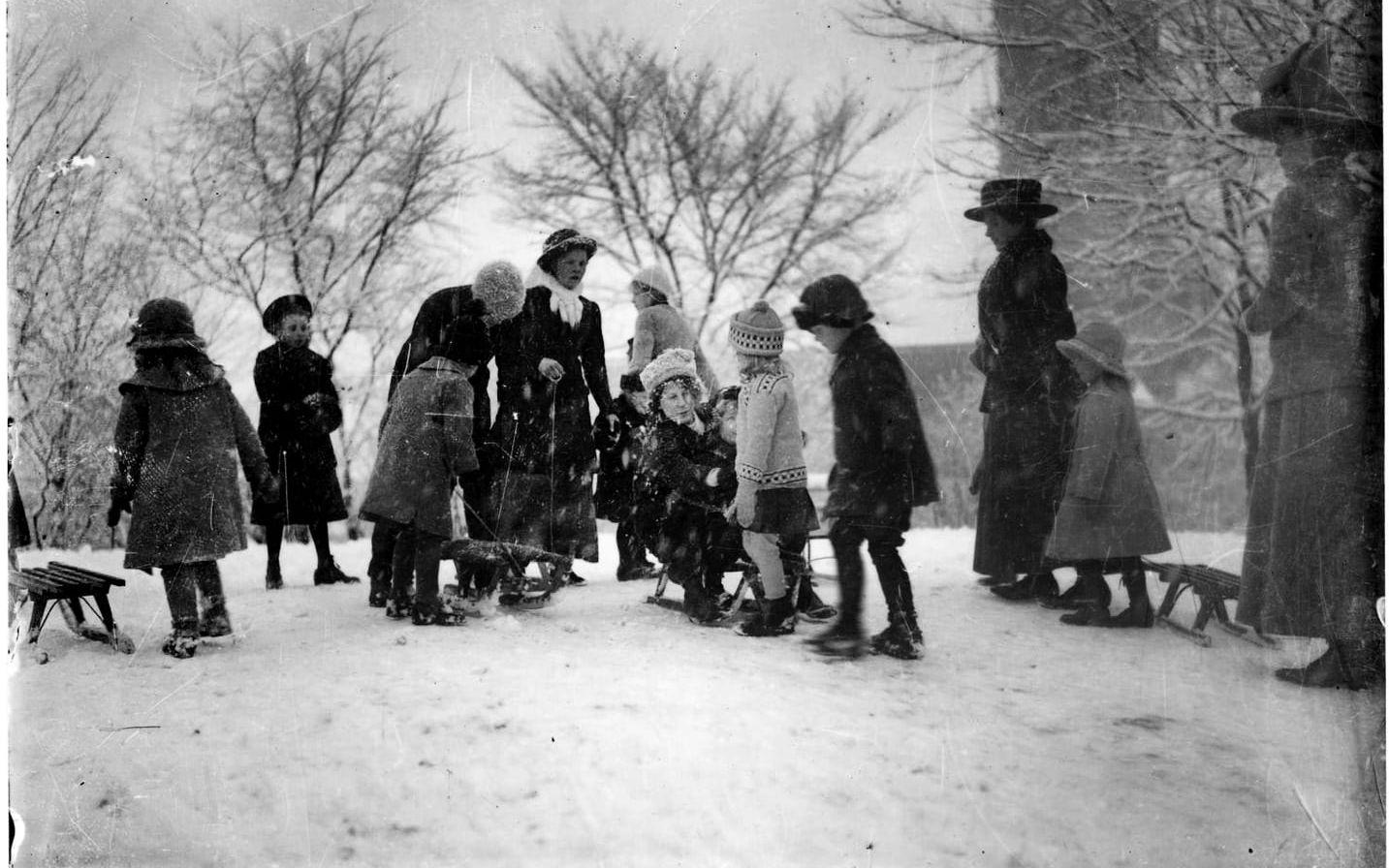 Barn som vuxna ville åka kälke i Vasaparken i januari 1913. Parken är fortfarande populär bland barn som vill leka i snön.
