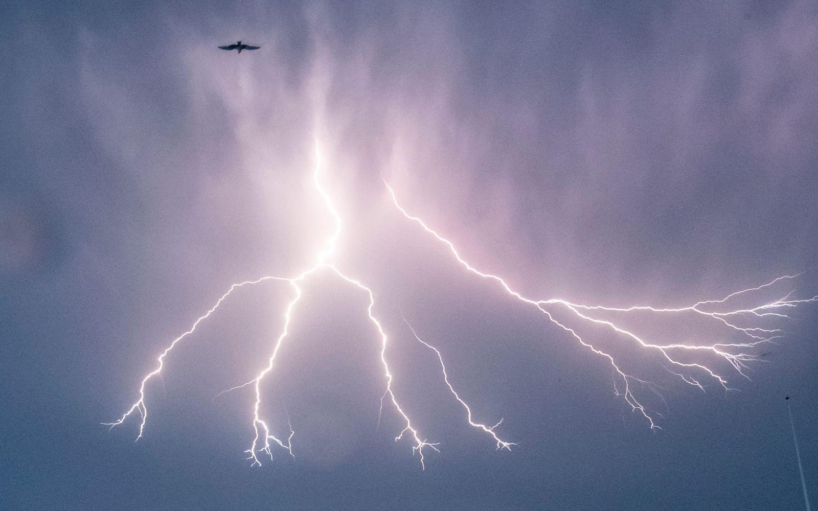 Arkivbild på ett åskoväder.