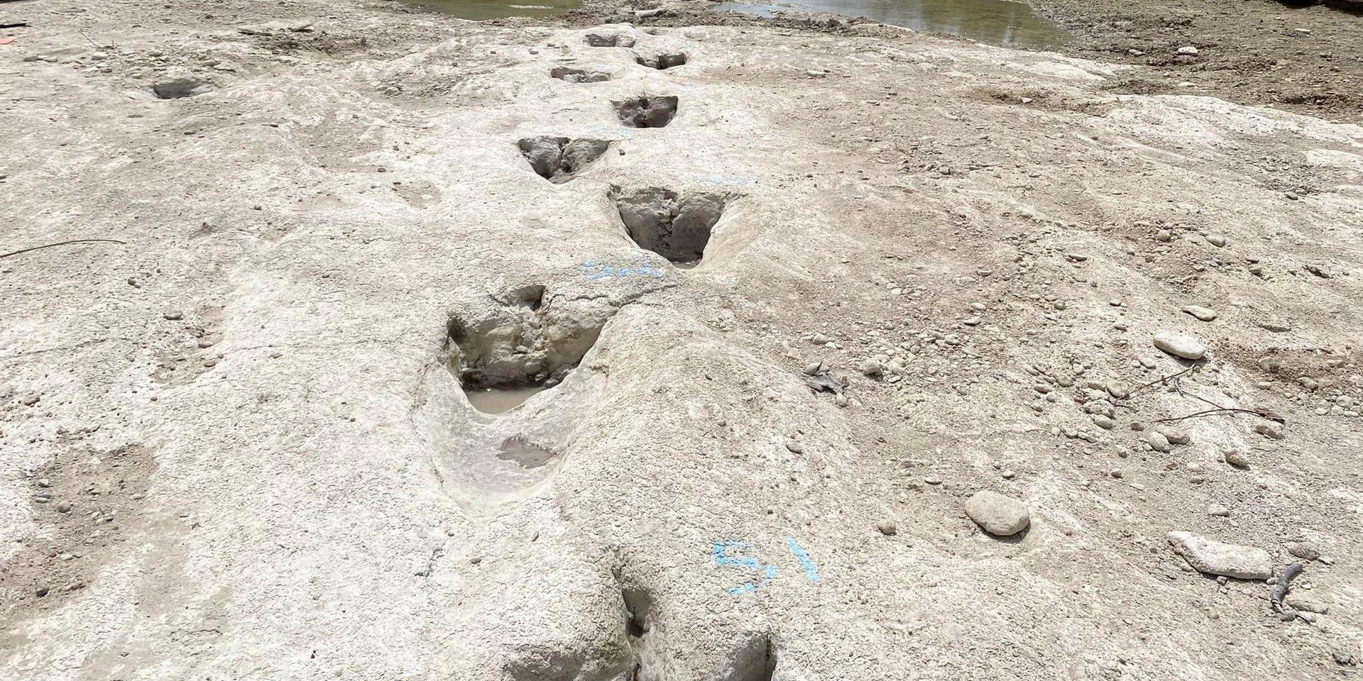 När floden torkade ut gick det att hitta dinosauriespår som tros ha satts för 113 miljoner år sedan. 