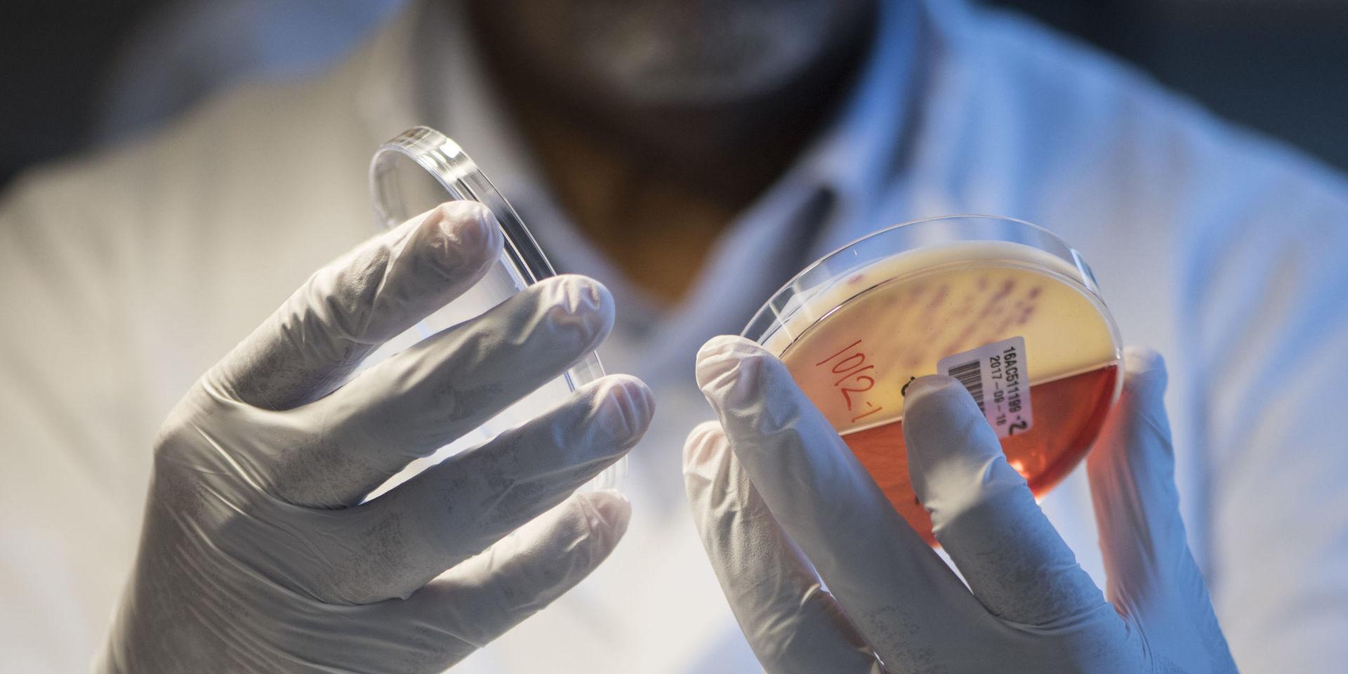 Forskare i bland annat Göteborg har upptäckt en hittills okänd gen som kan göra bakterier resistenta mot antibiotika. Arkivbild.