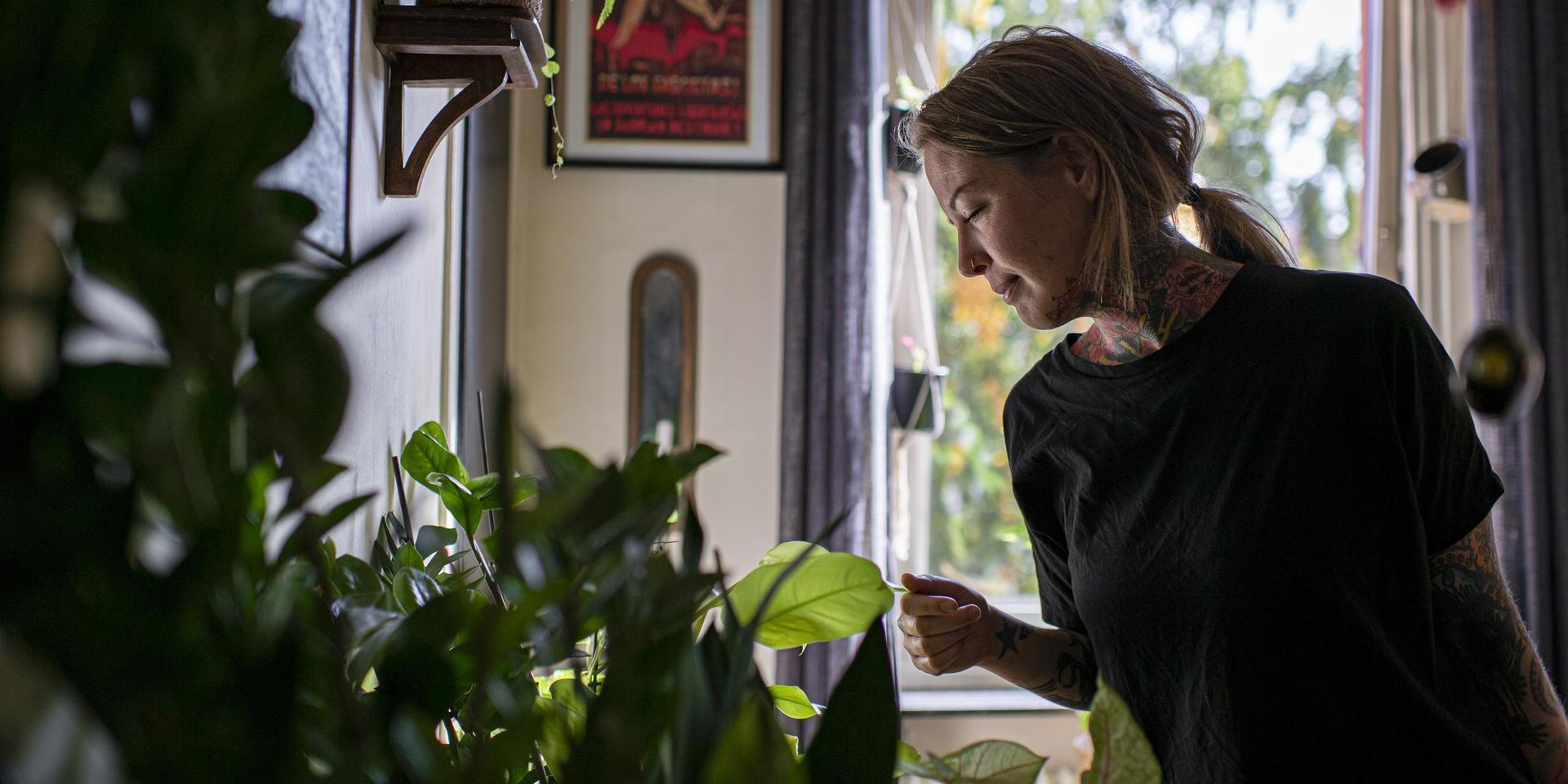 Växtentusiasten Mysan Hagman inspekterar en växt ur samlingen i köket hemma i lägenheten.