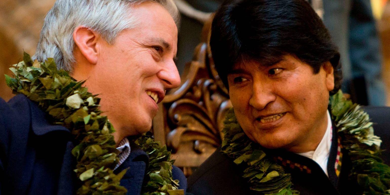Bolivias vicepresident Álvaro García, till vänster, och president Evo Morales, själva prydda med kokablad, i samband med undertecknandet av den nya kokalagen.