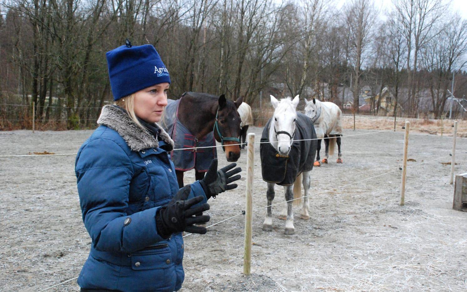 Ridskolechefen Ulrika Hallberg med några av ridskolehästarna som ska gå ute i större utsträckning. Bild: Christina Wagner