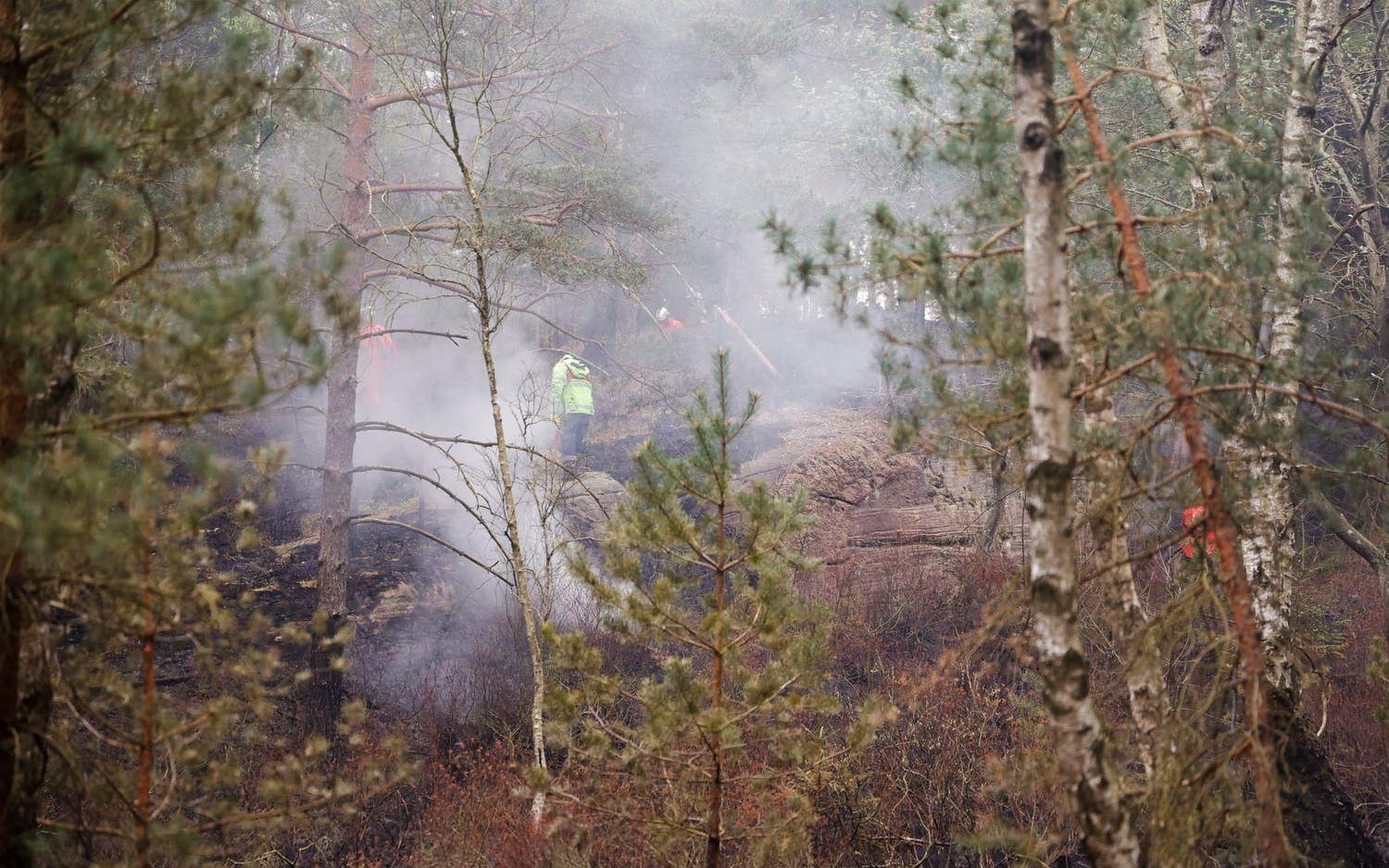 En skogsbrand utanför Göteborg tidigare i maj.