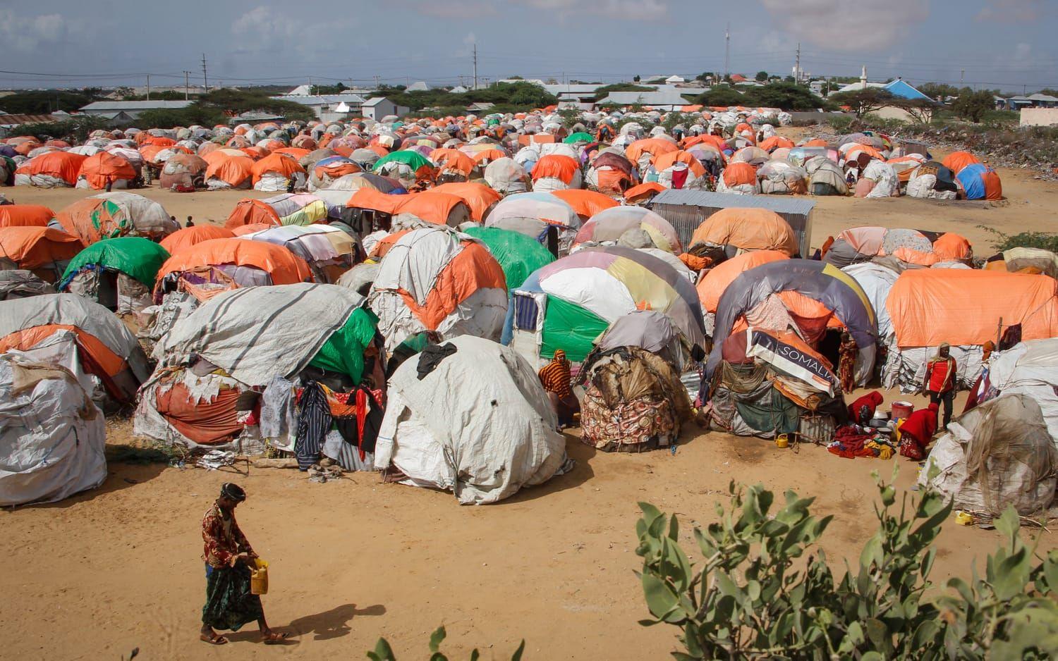 Invånarna i Somalia har flytt från områden som drabbats hårt av torkan. Här är ett läger i huvudstaden Mogadishu. 