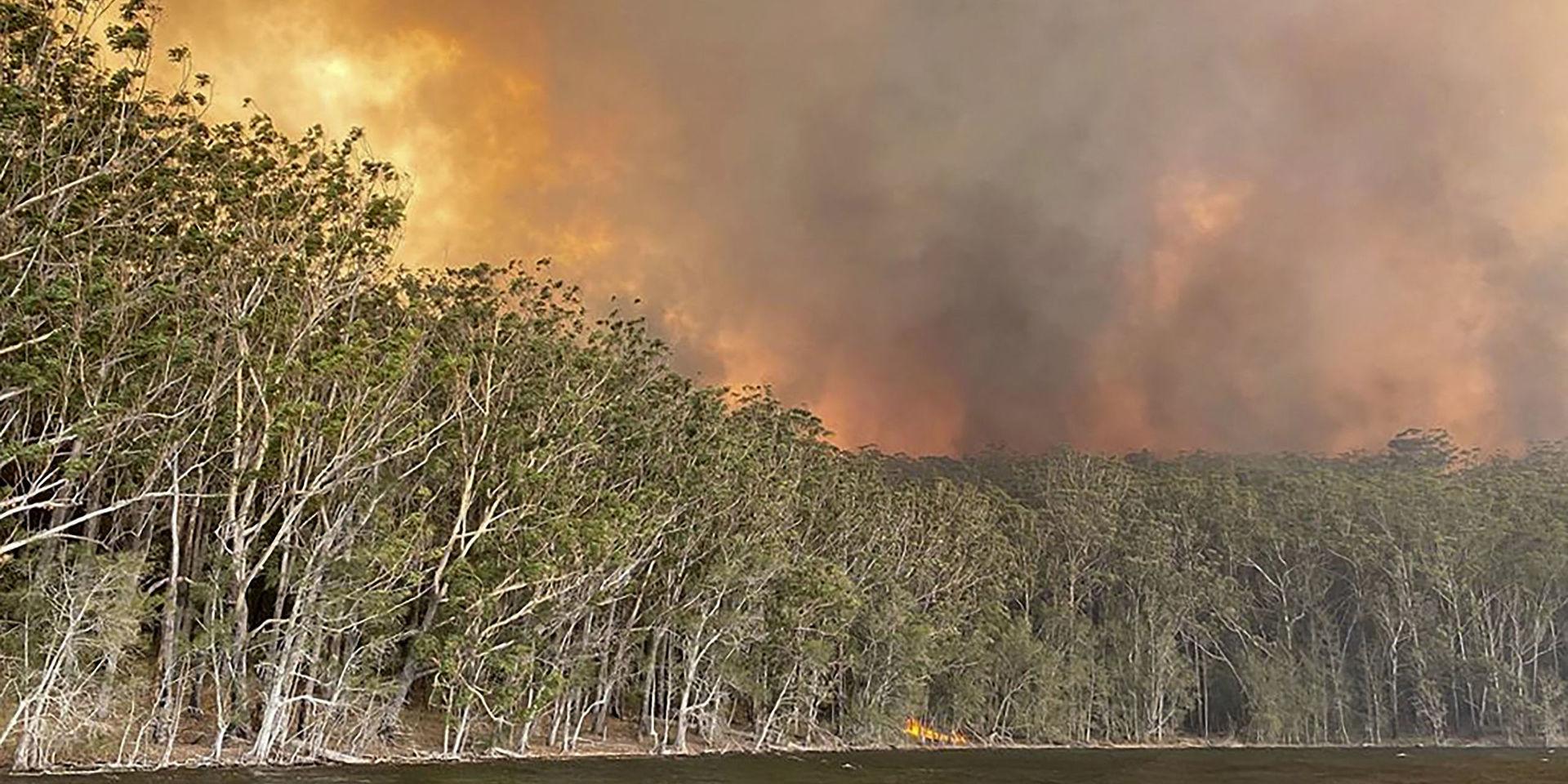 Skogarna kring orten lake Conjola, drygt 20 mil söder om Sydney, i brand.