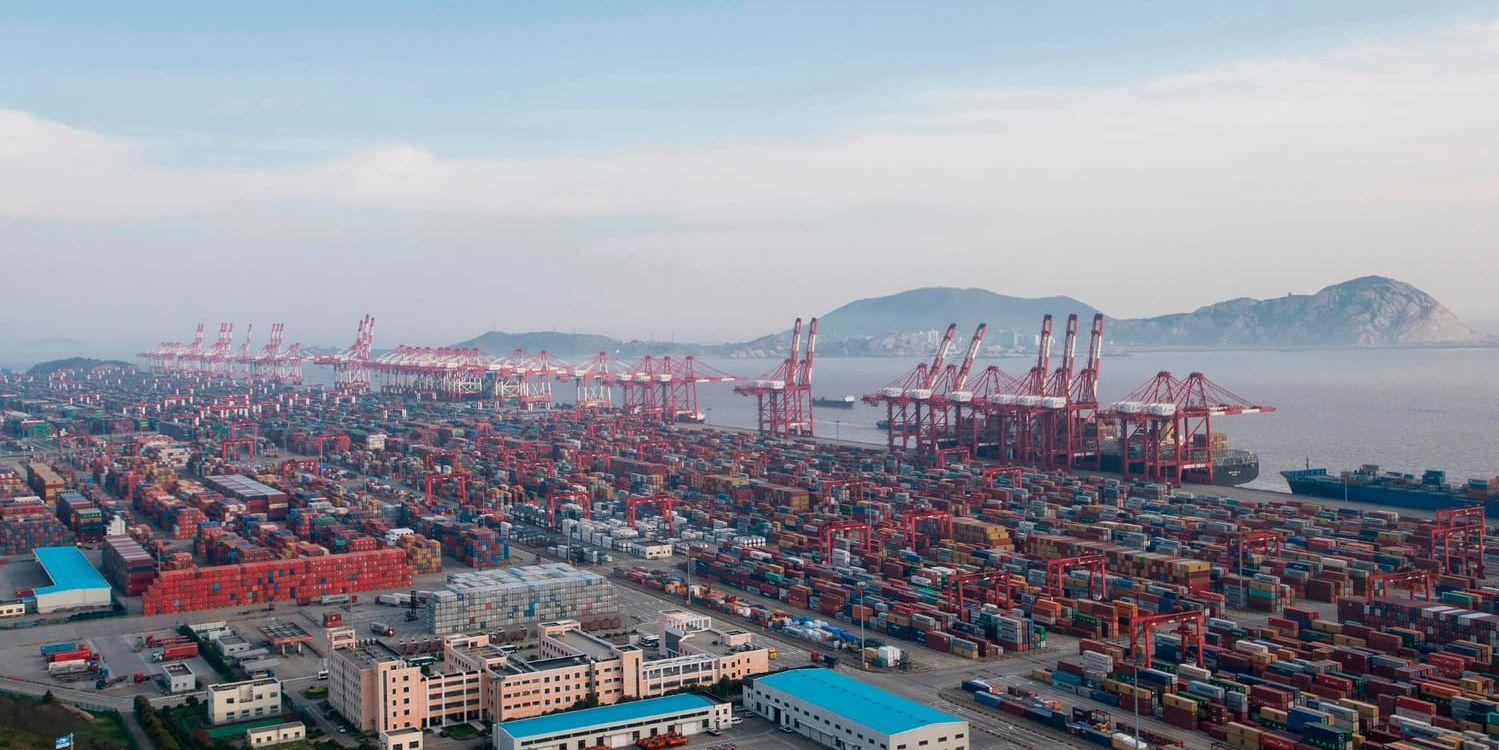 Containerhamnen Yangshan i Shanghai. Arkivbild.