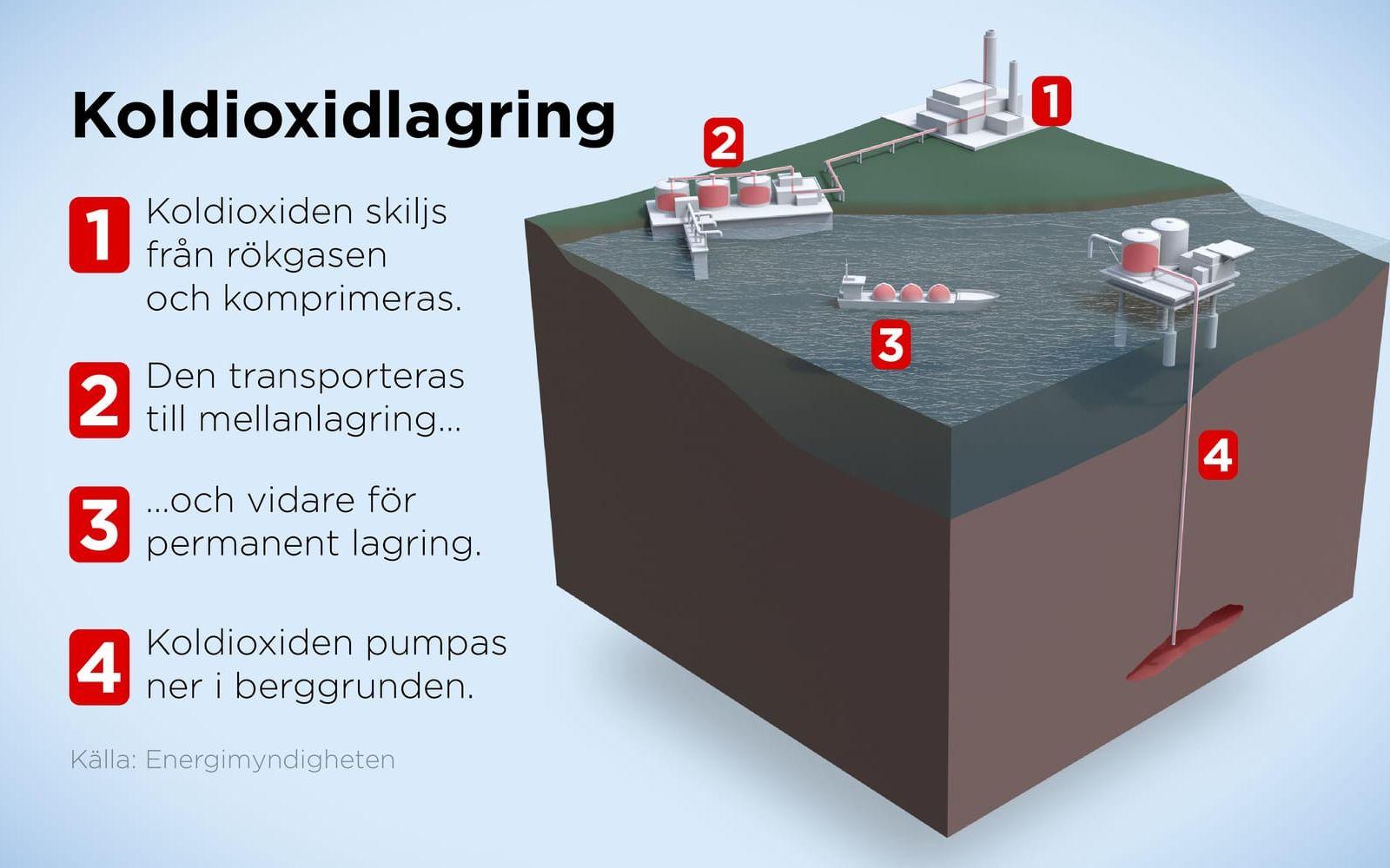 Bilden visar principen för koldioxidavskiljning och lagring.