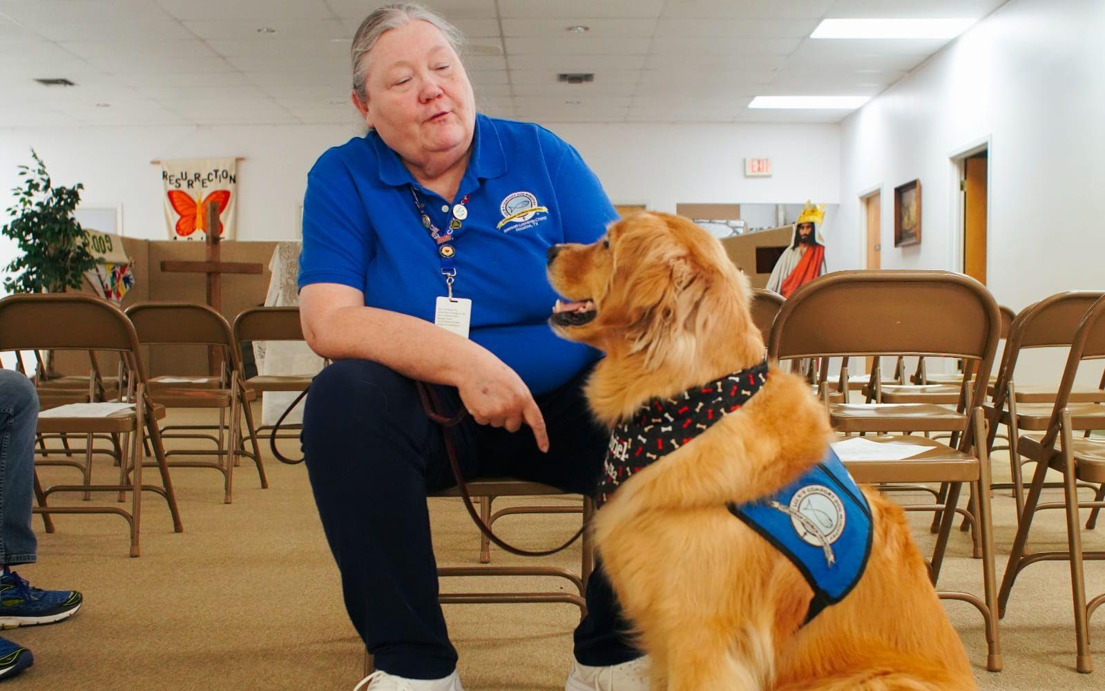 Projektsamordnaren Bonnie Fear förklarar att så kallade comfort dogs finns tillgängliga där sörjande familjer och skolpersonal samlas. 
