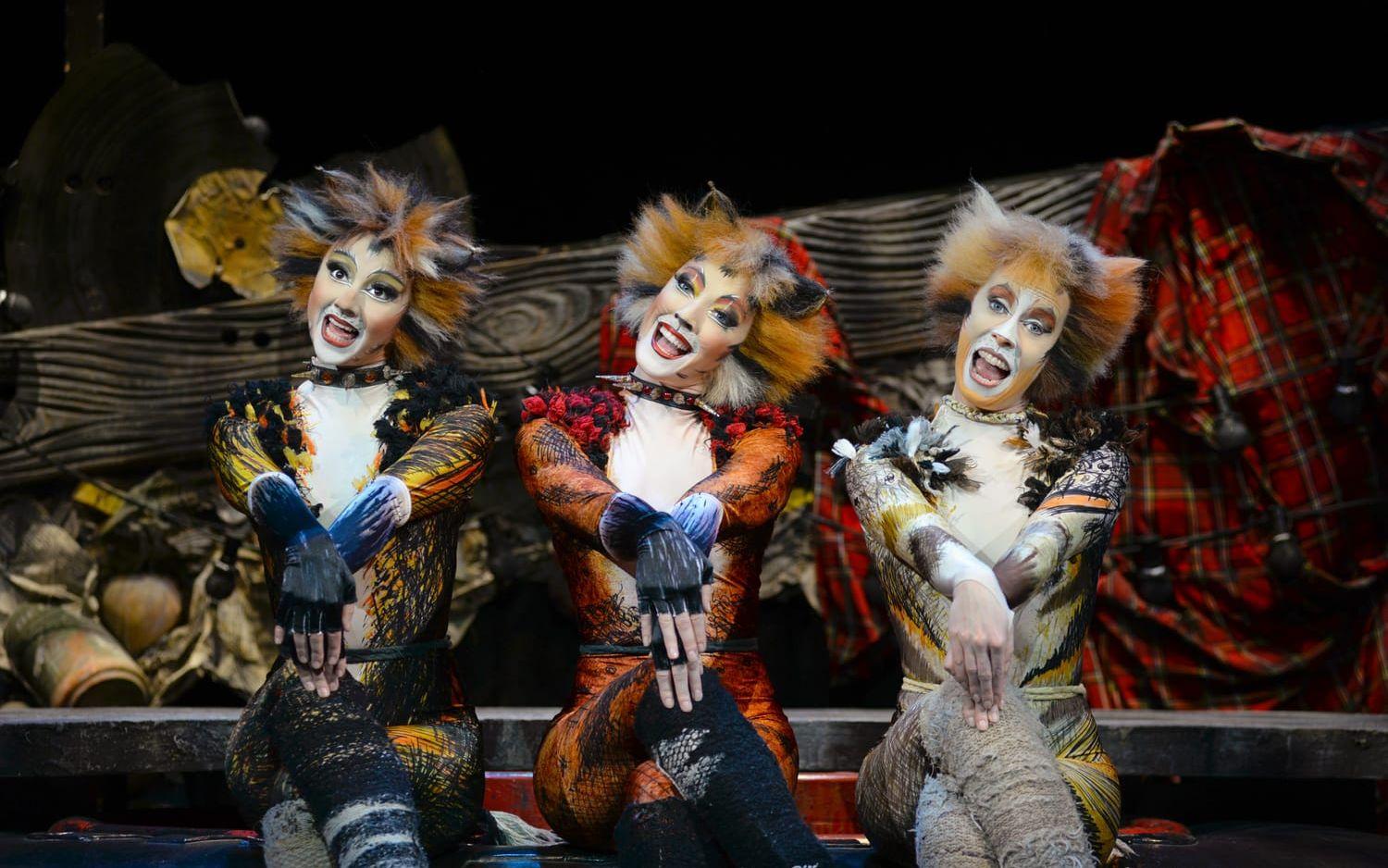 Demeter, Bombalurina och Jellylorium i Cats-musikalen 2014. Bild: Rug