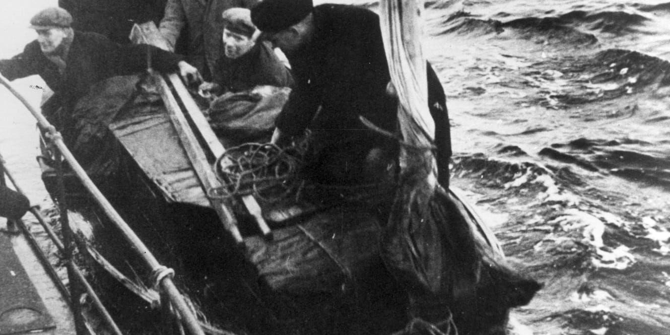 BALTISKA FLYKTINGAR. En flyktingbåt kommer i hamn på svenska östkusten hösten 1944. Flyktingarna från Estland satt och stod tätt packade i båtarna som ofta var i mycket dåligt skick Foto: SCANPIX 