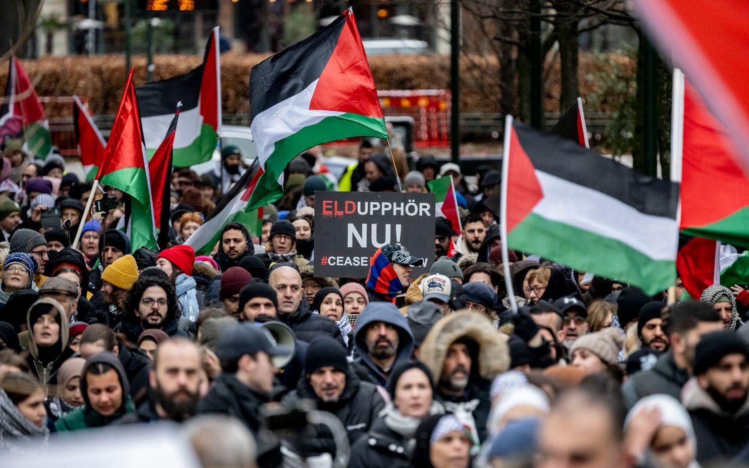 En propalestinsk demonstration i Malmö tidigare i år. Arkivbild.