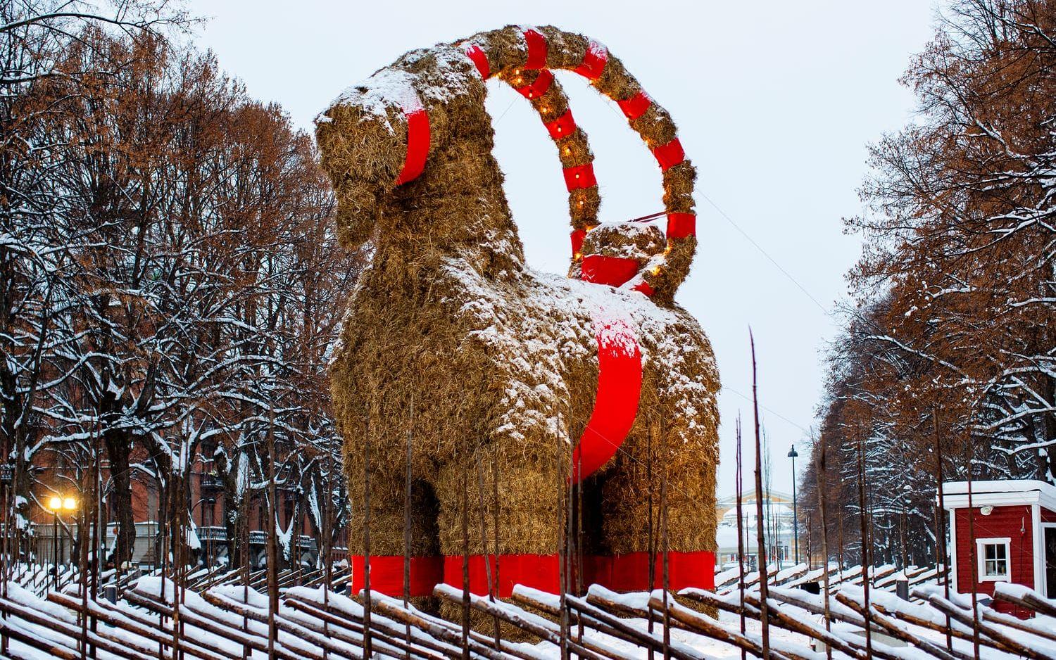 Årets Gävlebock. Arkivbild.