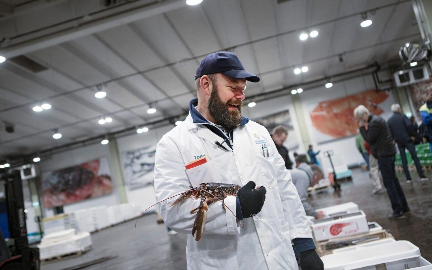 Tony Carlsson är auktionsförrättare på Göteborgs Fiskauktion. Bilden är från när han i höstas sålde årets första hummer.