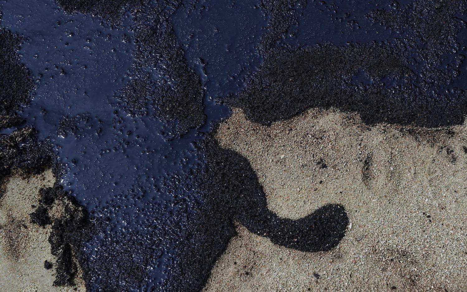 Arkivbild på oljeutsläpp.