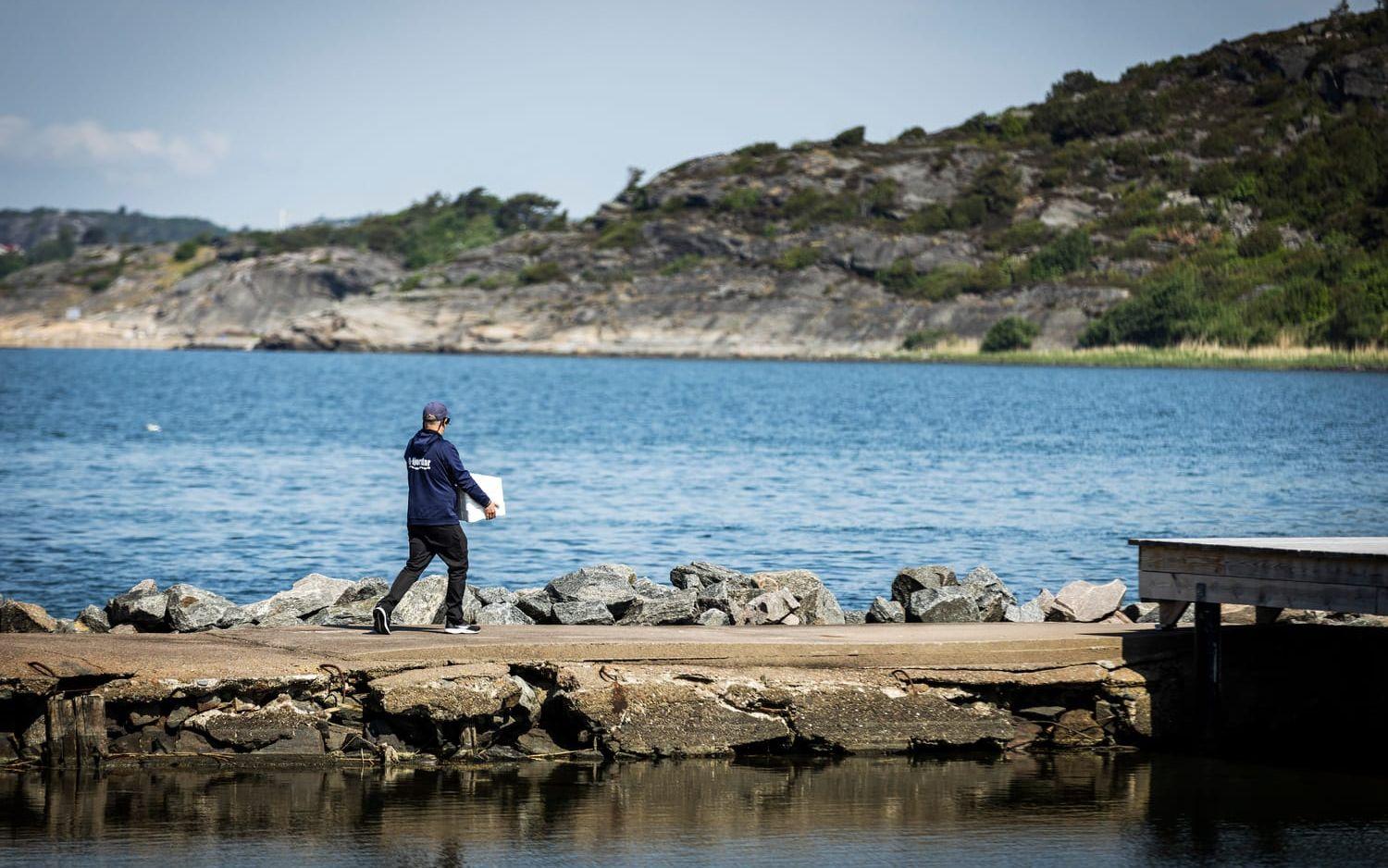 Antalet ålar har minskat dramatiskt och får nu inte längre fiskas längs den svenska västkusten.