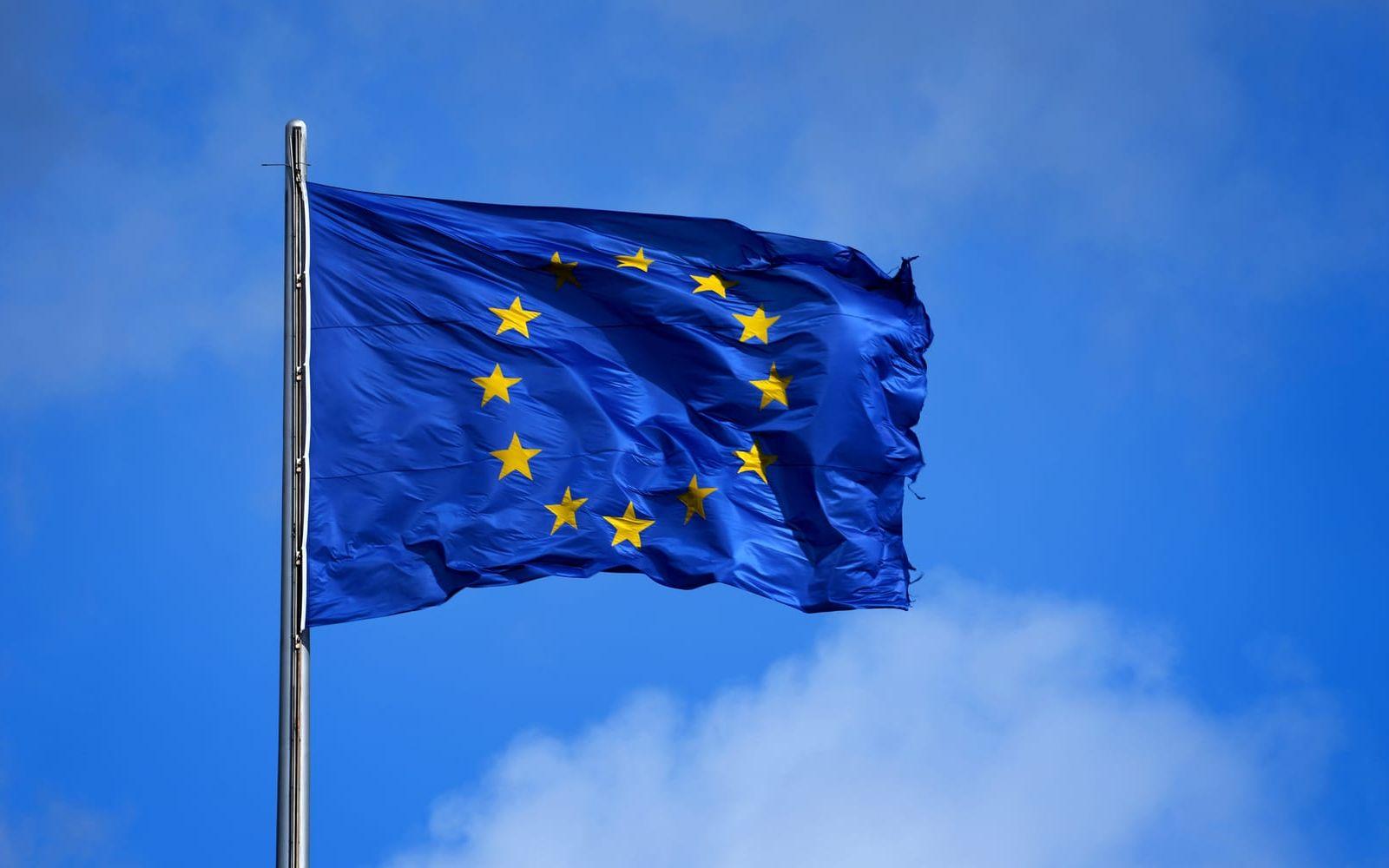 EU:s flagga. Arkivbild