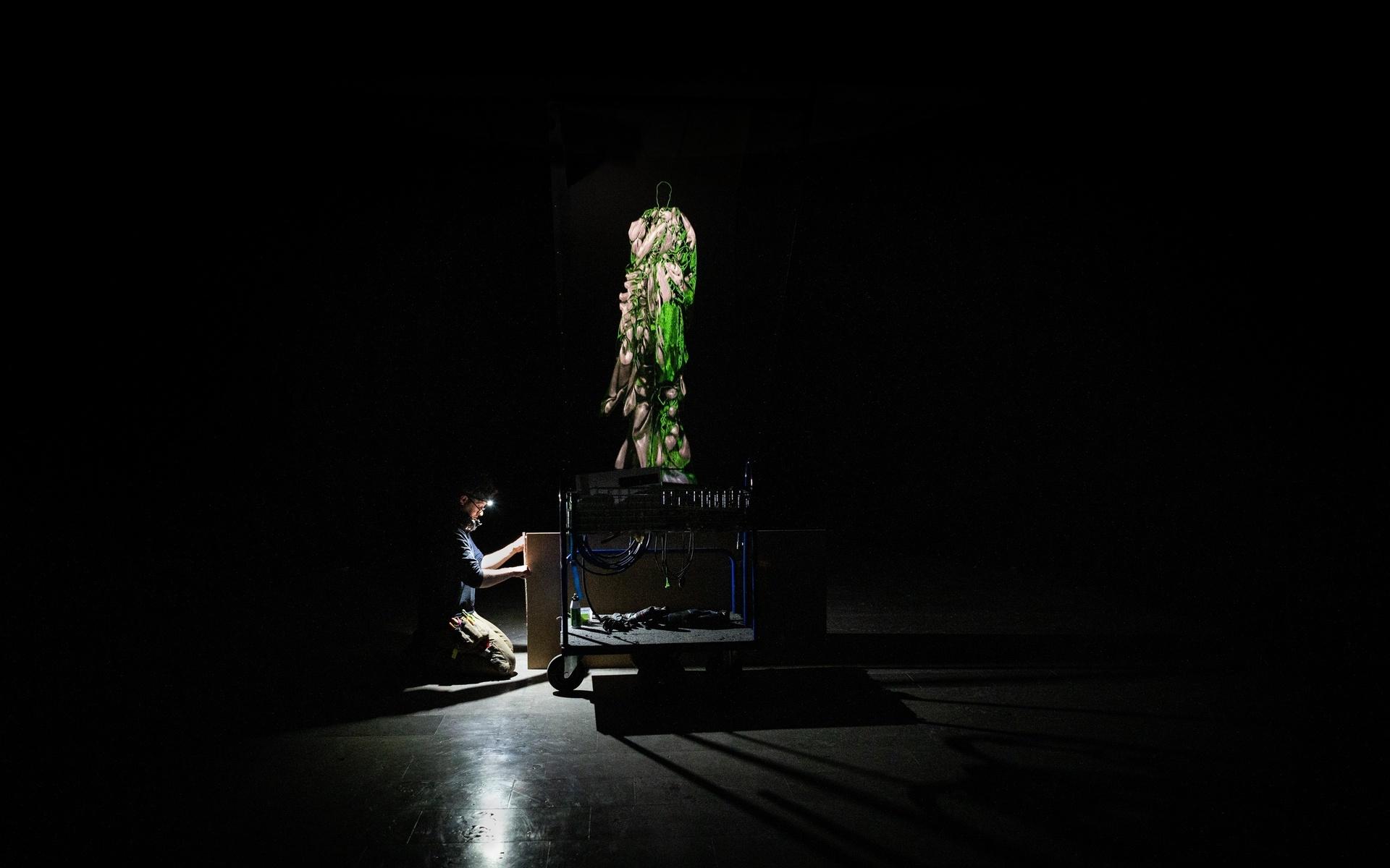 Ett av verken som visas i utställningen är ”Flo”, ett hologram som döpts efter konstnärens mor som gick bort när Mujinga var tonåring. Till verket spelas en eterisk ljudbild av elektronisk musik som Sandra Mujinga skapat under artistnamnet 9Djinn.