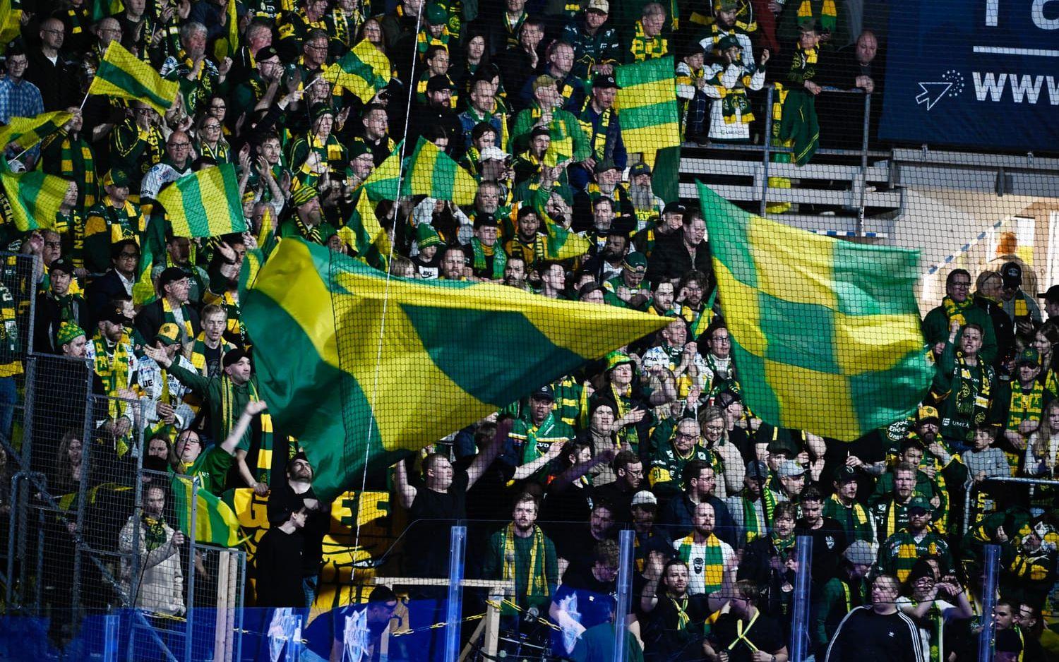 Björklövens fans firar seger i den hockeyallsvenska finalen mot Karlskoga.