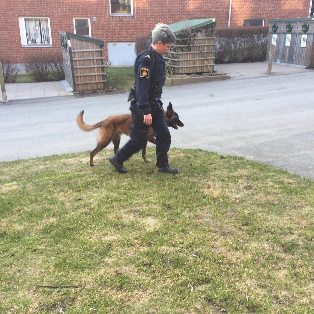 Polisen sökte efter händelsen i området med hundpatruller.