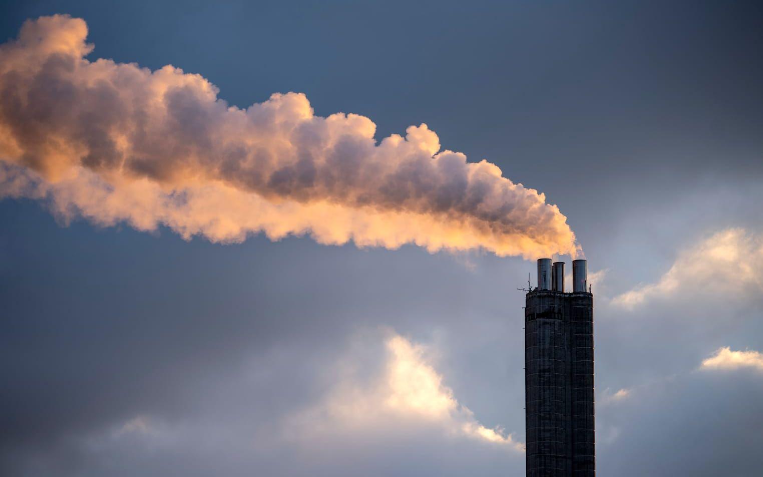 
Vit rök från skorstenen på Heleneholmsverket i Malmö i decemberkylan 2022, under energikrisen med rekordhöga elpriser. Arkivbild