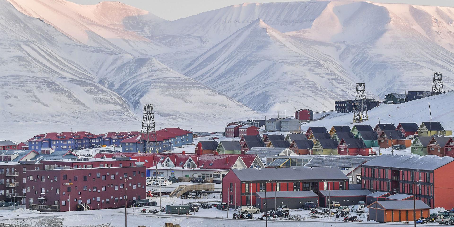Svalbards globala frövalv ligger i utkanten av Longyearbyen på Svalbard.