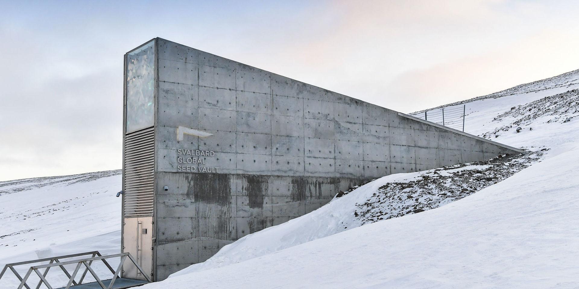 Det globala frövalvet på Svalbard öppnade 2008. Nu finns här omkring en miljon fröprover från genbanker i hela världen.