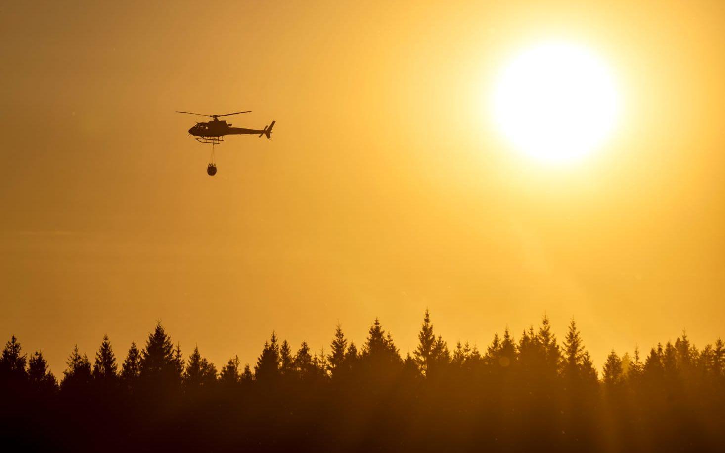 SMHI varnar för skogsbrand. Arkivbild.