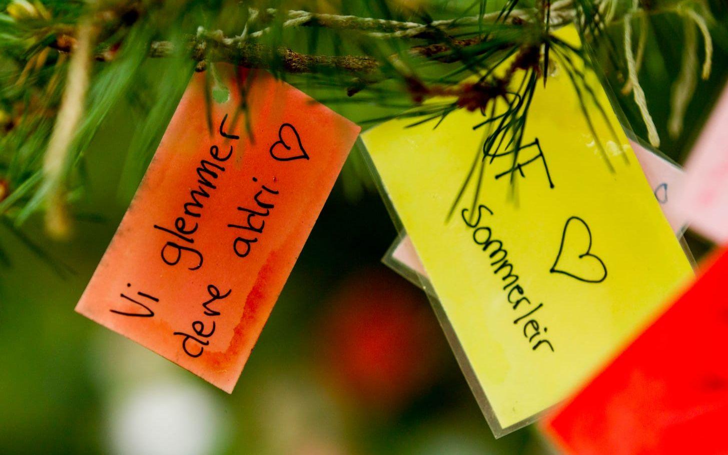 Bild: Vegard Wivestad Grøtt Flera år efter massmordet hänger kondoleanser på färgglada lappar på ett träd på Utöya 