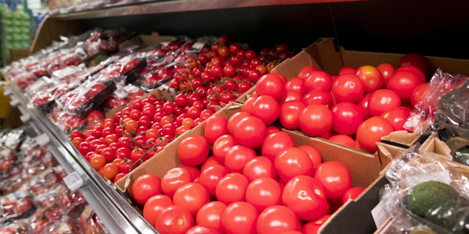 Vad kostar tomaterna? Svenska odlare larmar om svår konkurrens med importerade småtomater. Arkivbild.