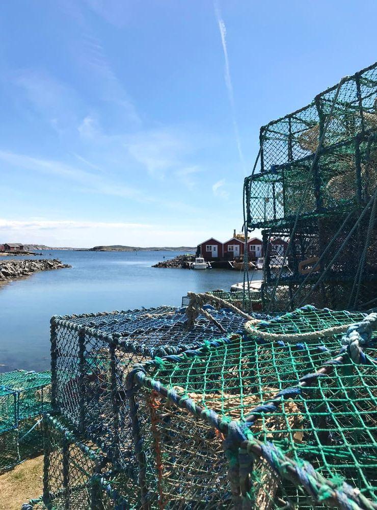 
    Hummertinorna på Hönö ligger redo inför september.
   