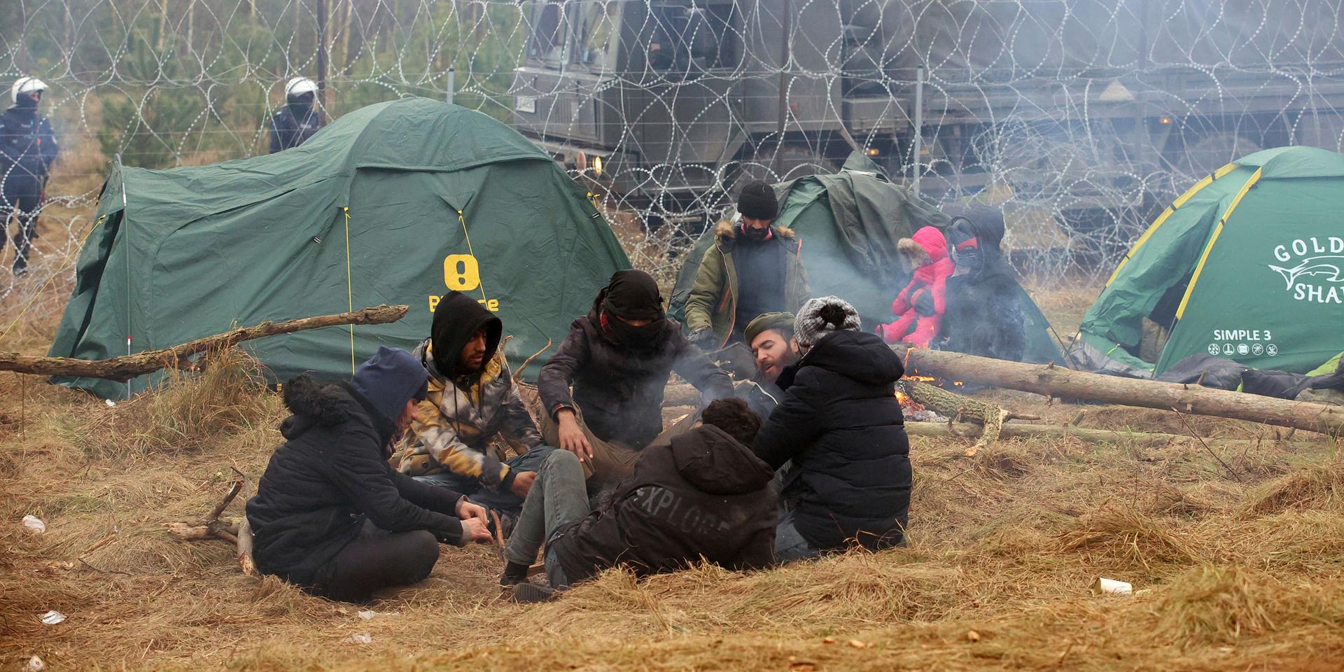 EU-kommissionen har uppgett att man tror att runt 2000 migranter har samlats på den belarusiska sidan av gränsen mellan Polen och Belarus de senaste dagarna. 