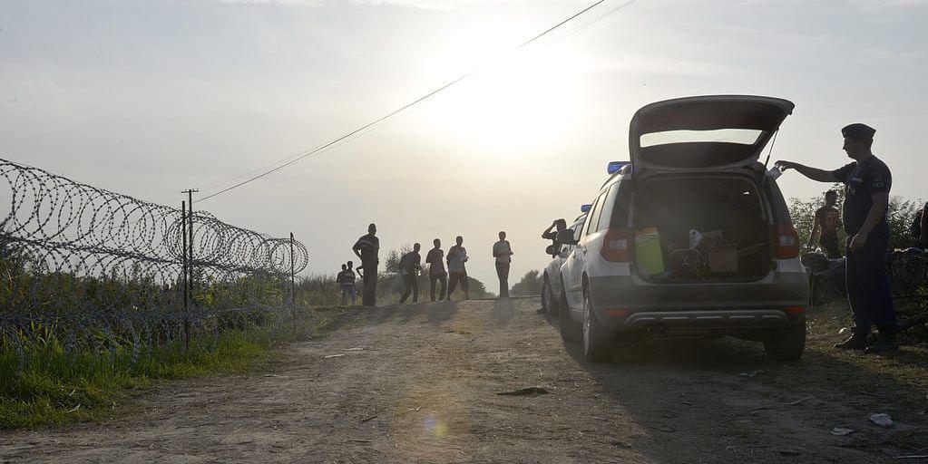 Gränsen mellan Ungern och Serbien. Förhållandena här beskrivs som usla. Bild: Sofia Eriksson/TT