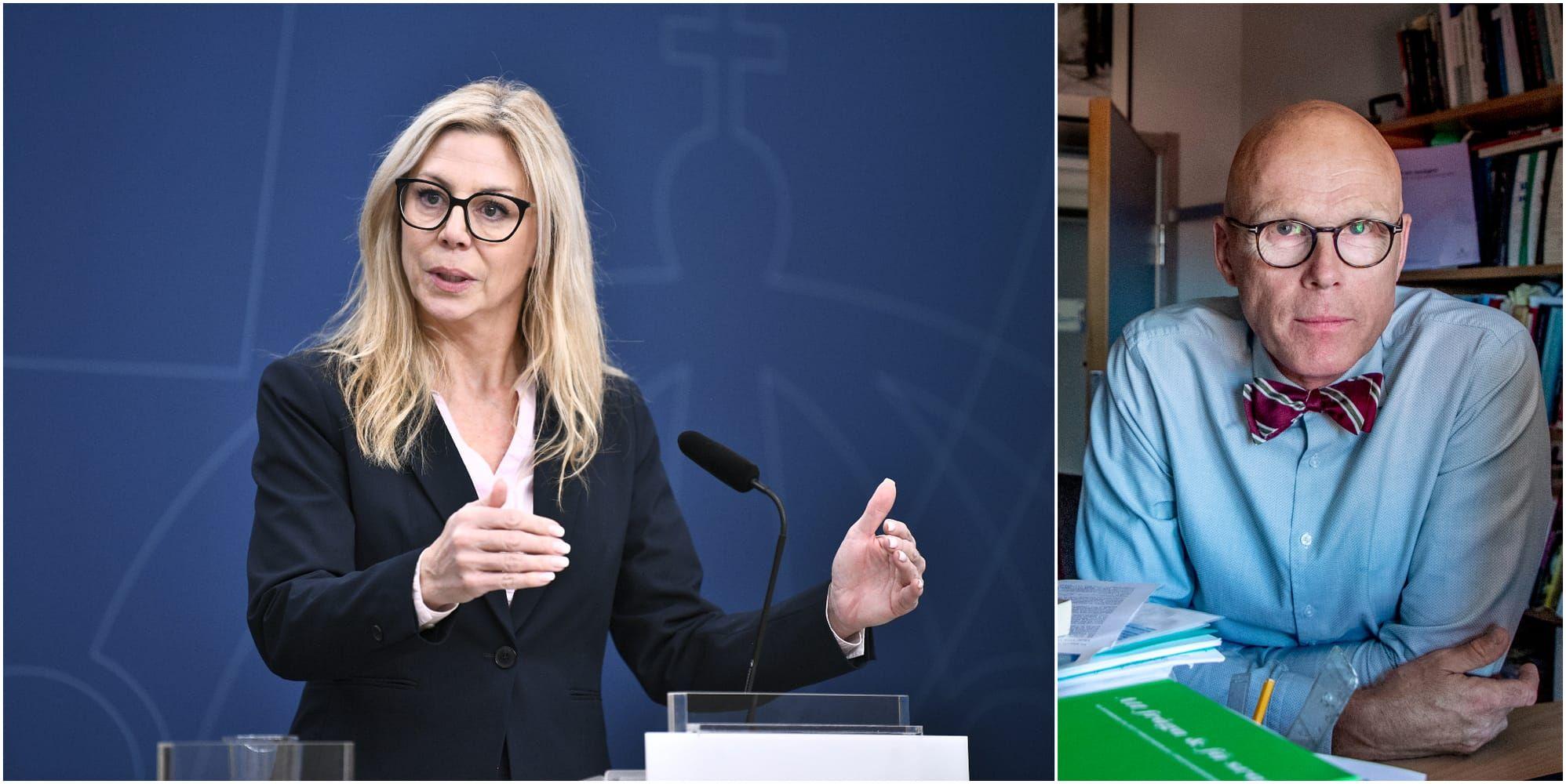 En bild på SD:s gruppledare Linda Lindberg och statsvetaren Jonas Hinnfors. 