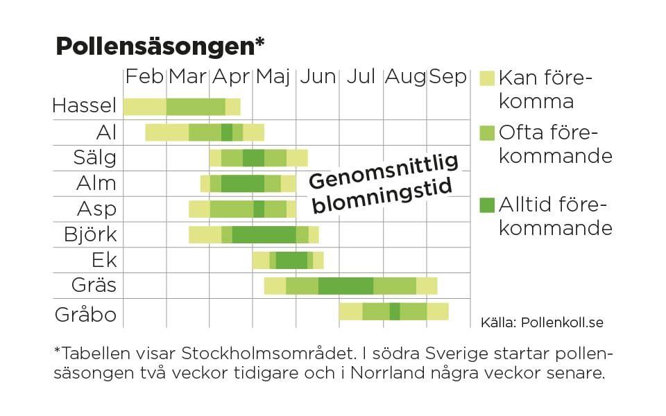 Tabellen visar Stockholmsområdet. I södra Sverige startar pollensäsongen två veckor tidigare och i Norrland några veckor senare.
