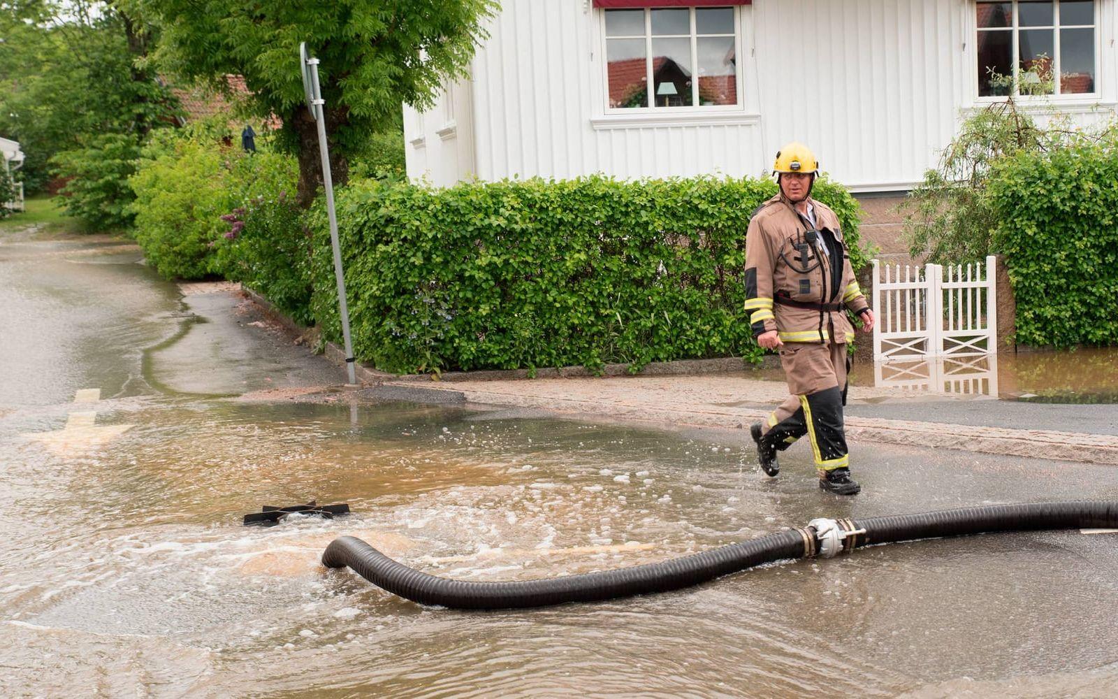 100 källare ska vara fyllda med vatten på Malmön. Bild: Roger Lärk