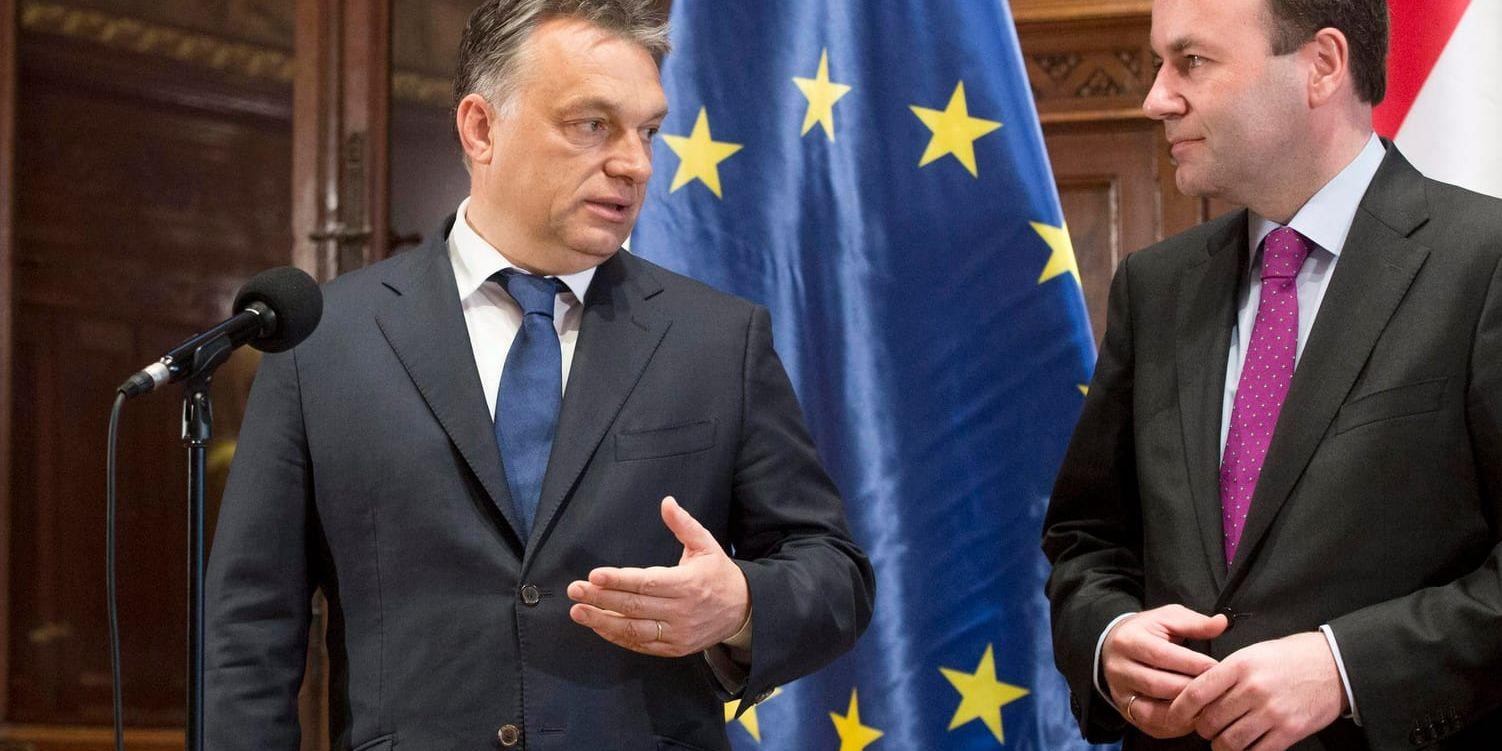 Manfred Weber (till höger) tillsammans med Ungerns premiärminister Viktor Orbán. Arkivbild.