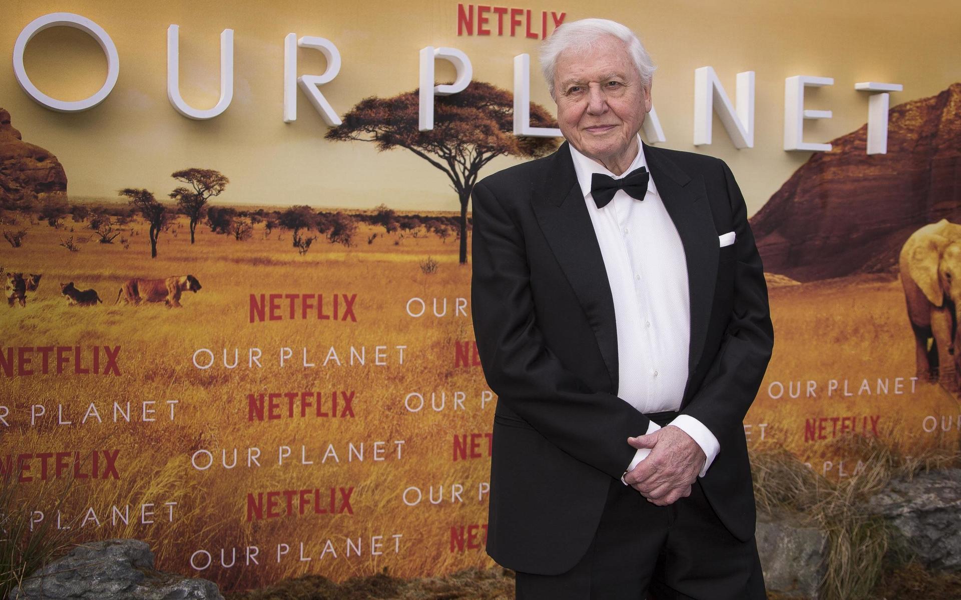 David Attenborough är känd för rösten bakom naturdokumentärer som Planet Earth och Our planet.