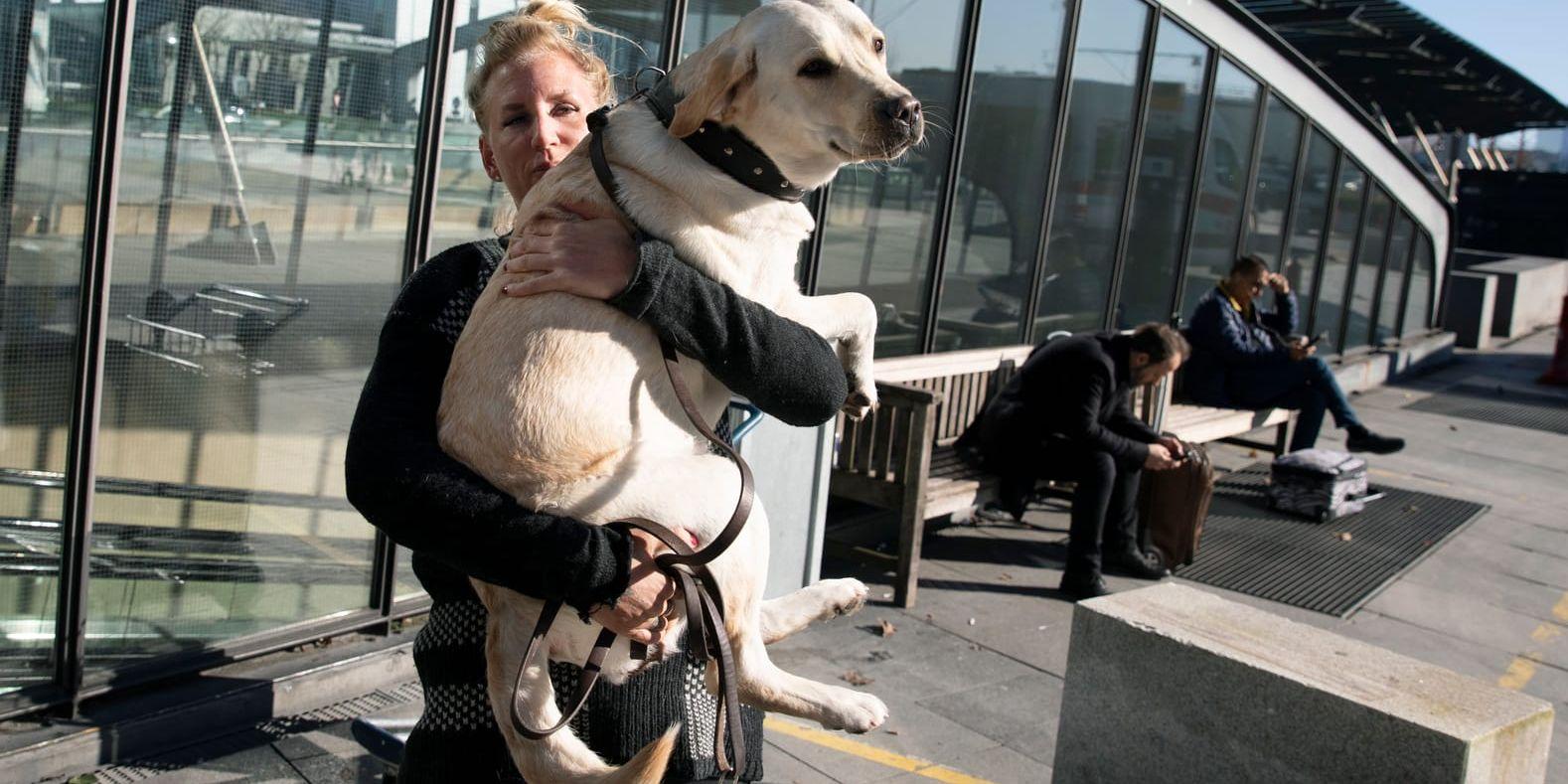 Jenny Fernsten Nilén precis hemkommen från Thailand, möttes av hunden Freja.